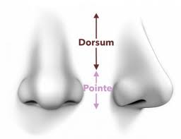 Quelle est la différence entre la rhinoplastie et la chirurgie du nez ?